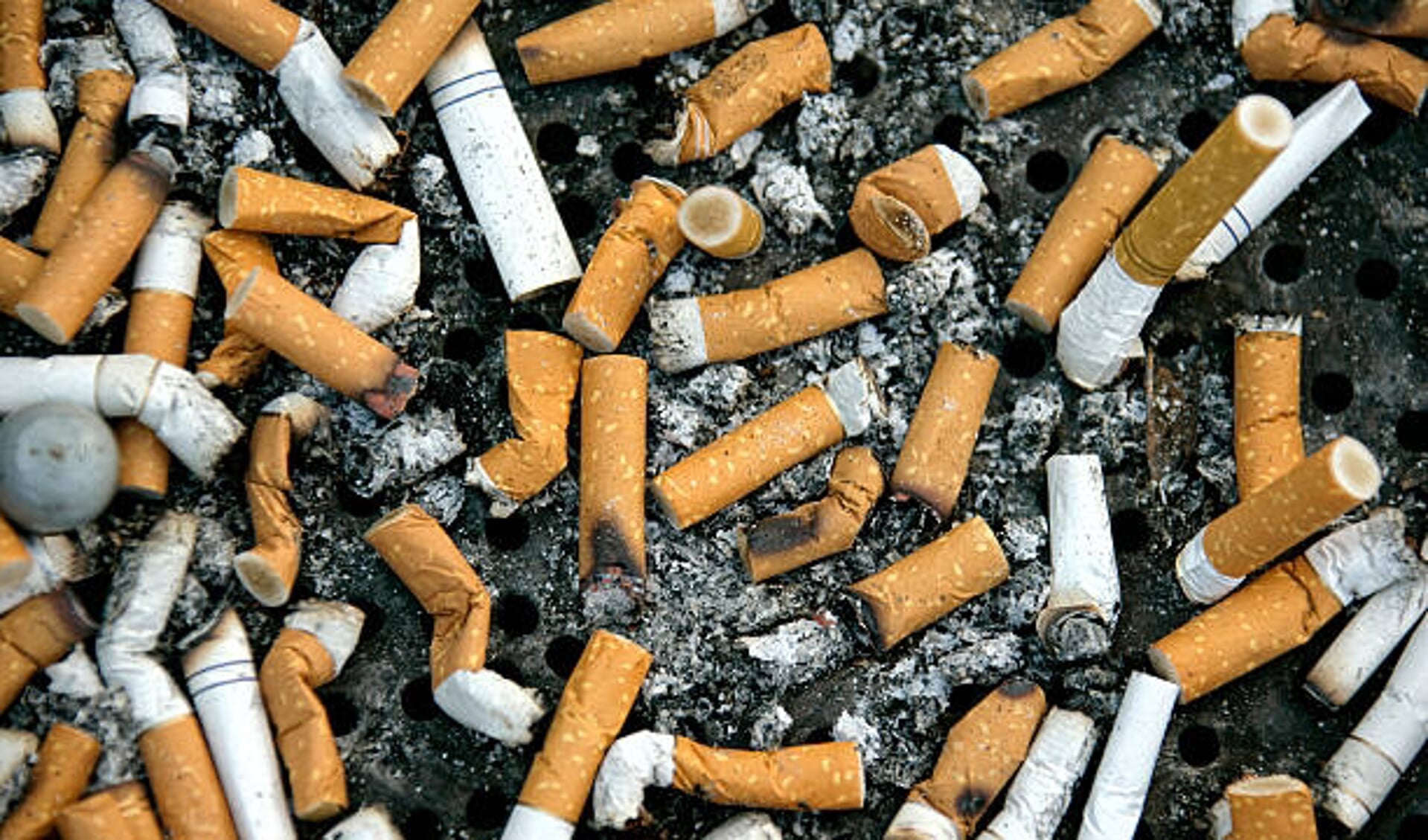 'Sigarettenfilters zijn nog schadelijker voor het milieu dan gedacht.'