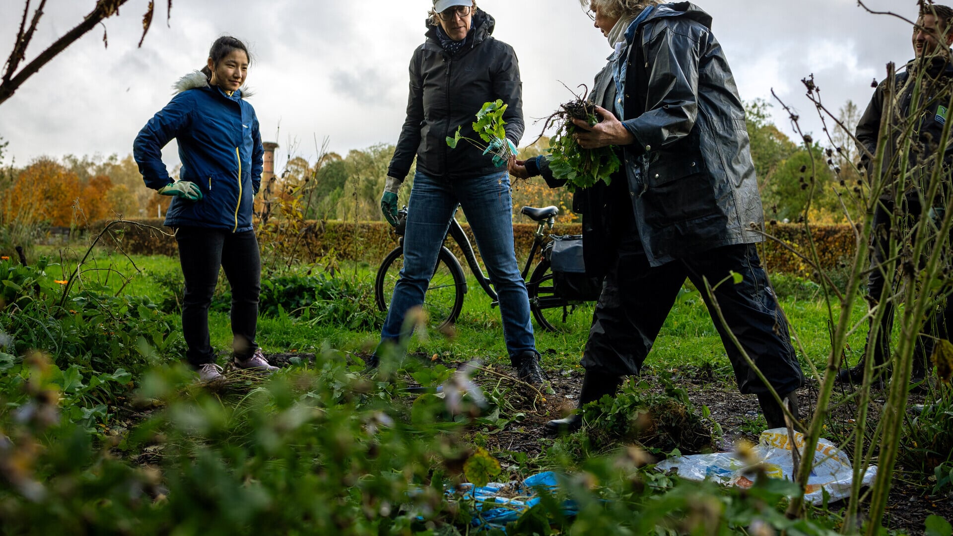 Vraag Voor Jouw Groene Project Een Financiële Bijdrage Aan Uit Het ...