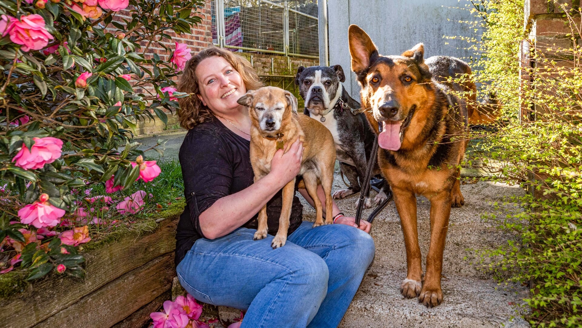 Rianne Steenbeek met haar drie honden.