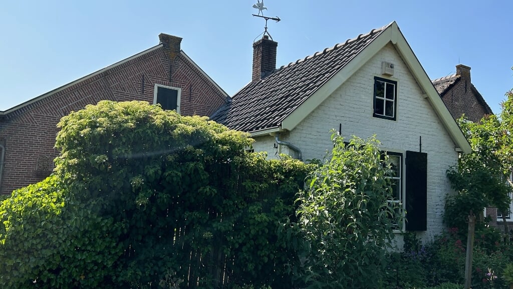 Afbeelding