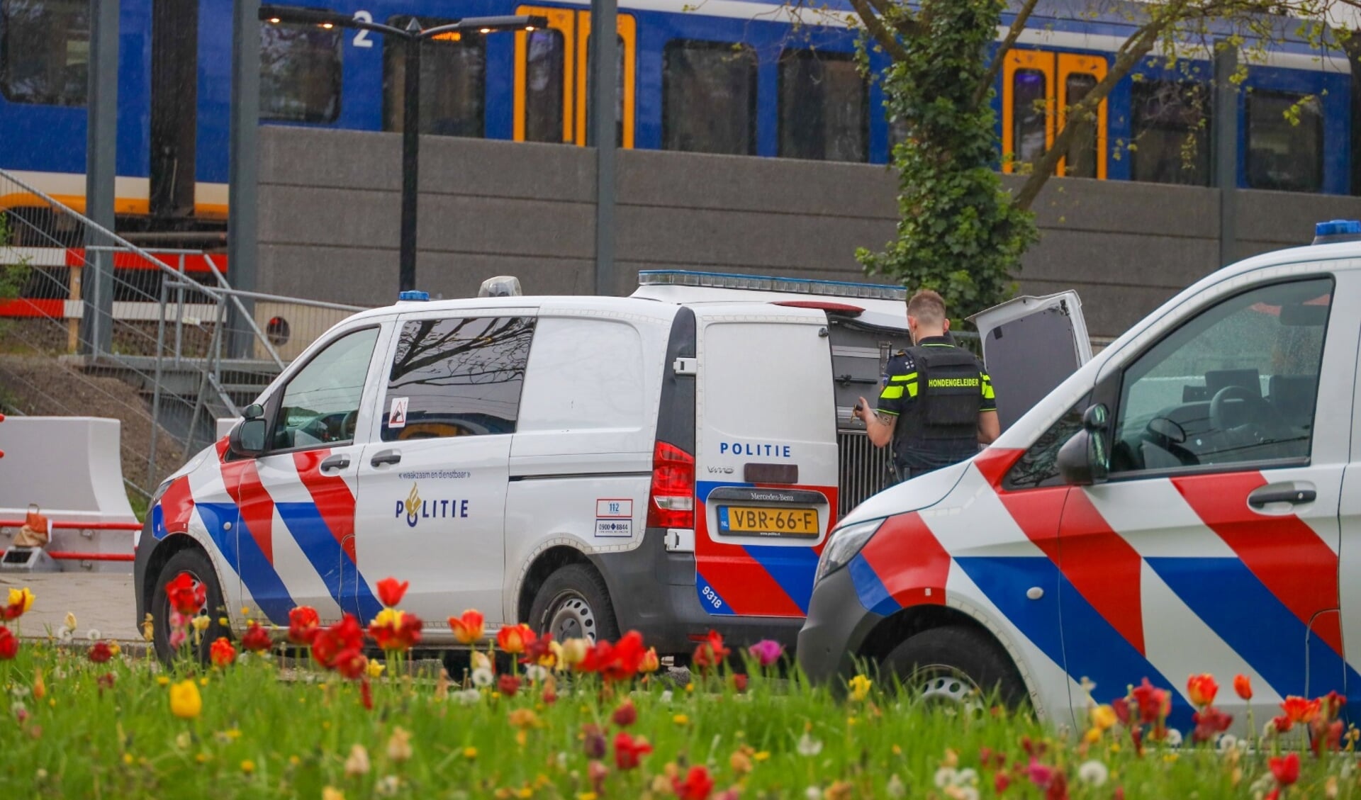 Arrestatieteam zoekt vuurwapen op station Weesp.