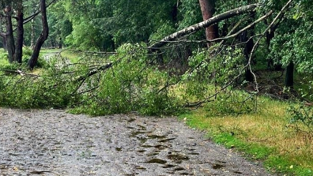 Schade In Gooise Natuur Valt Mee Na Storm Poly; GNR: 'Blijf Alert ...