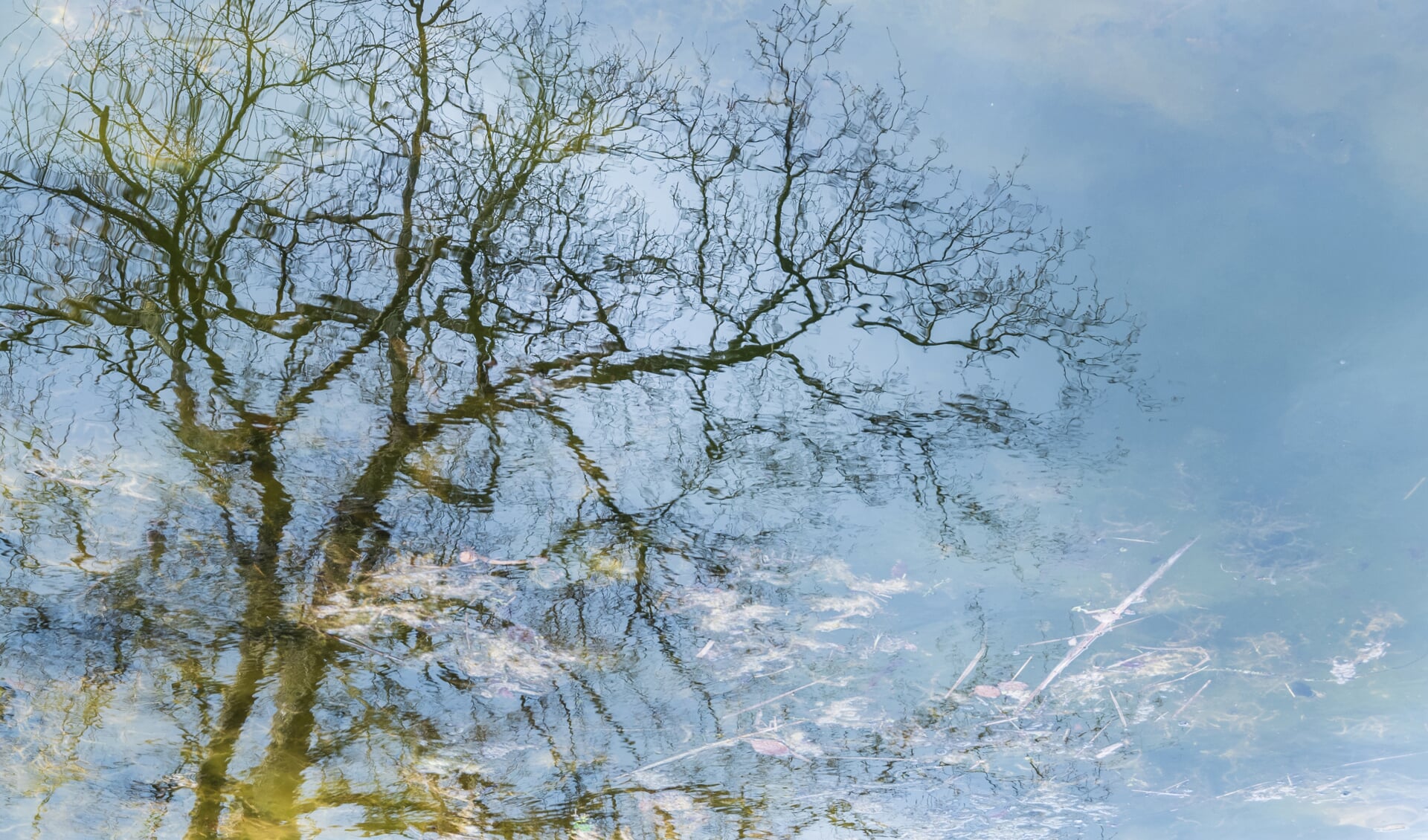 Schilderij of foto?