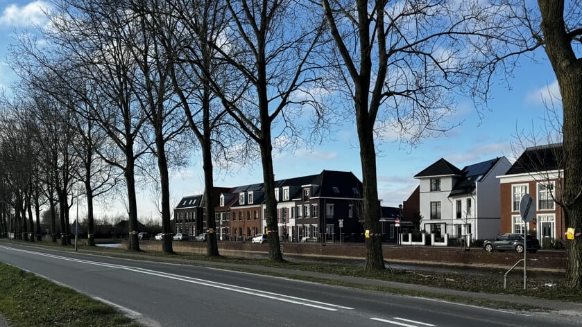 Een groot aantal bomen langs de Korte Muiderweg wordt gekapt vanwege de reconstructie.