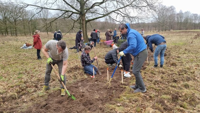 Tijdens de plantdagen helpen vrijwilligers om alle scheuten in de grond te zetten.