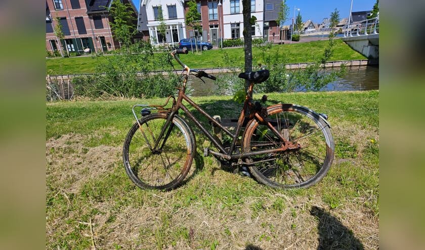 De fiets, waarin de vis klem zat.