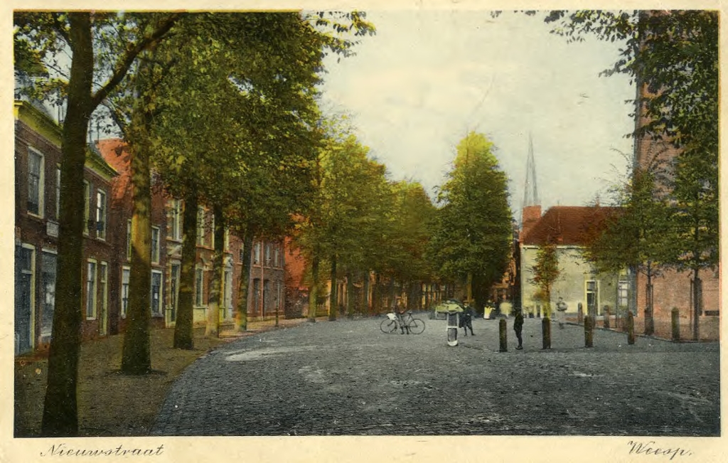 De Nieuwstraat nog vol met bomen, ansichtkaart van voor de oorlog
