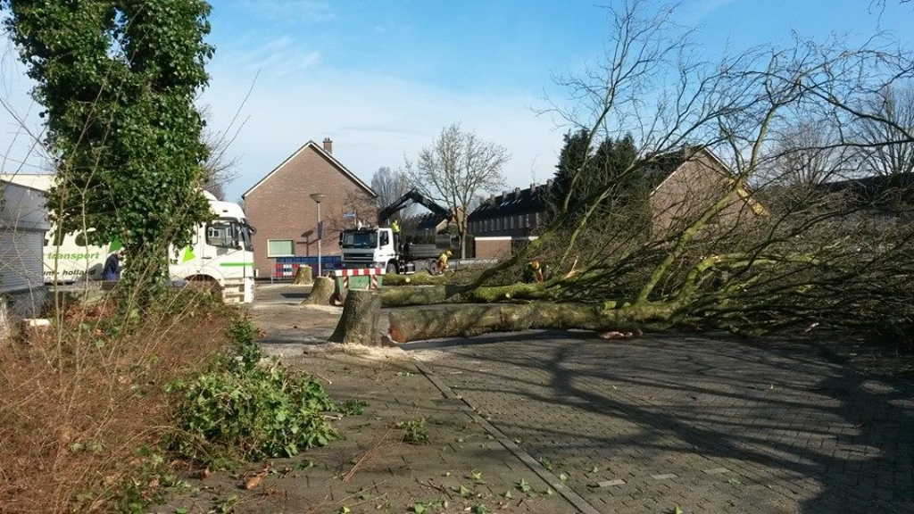 Terwijl de verhuiswagens nog moesten wegrijden, was de weg al versperd met omgezaagde bomen.