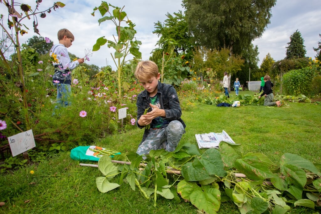 Kinderen zijn met veel plezier aan het werk in hun tuin. 