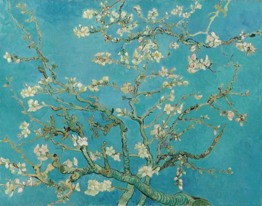 Amandelbloesem. Olieverf op doek, 73.3 cm x 92.4 cm. Van Gogh Museum, Amsterdam . Foto: Vincent van Gogh Stichting.