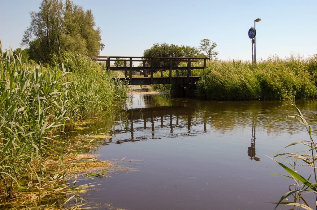Vanuit het stadse Weesp ben je via het Aetsveldseweggetje in een paar stappen in de oase van de open polder.