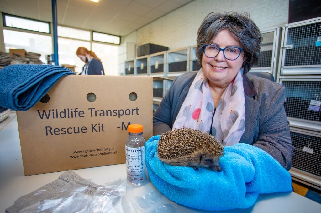Jenny Kleve met een egel die naar de Egelbescherming is gebracht met de Wildlife Transport Rescue Kit.