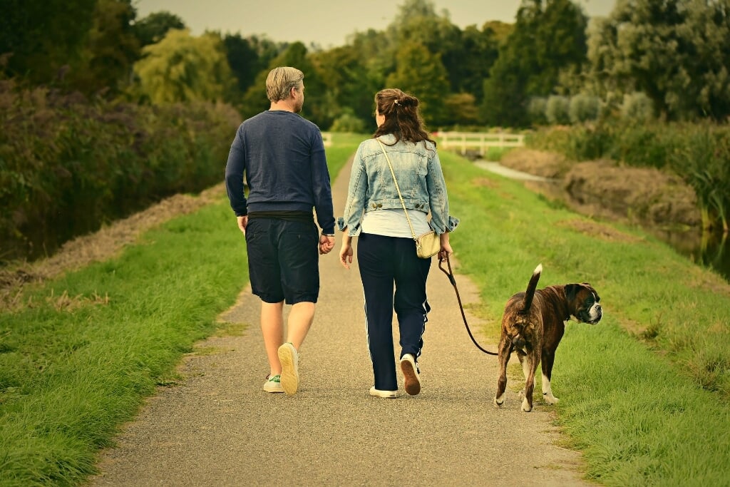 Wandelen is gezond en samen wandelen is ook nog eens gezellig.