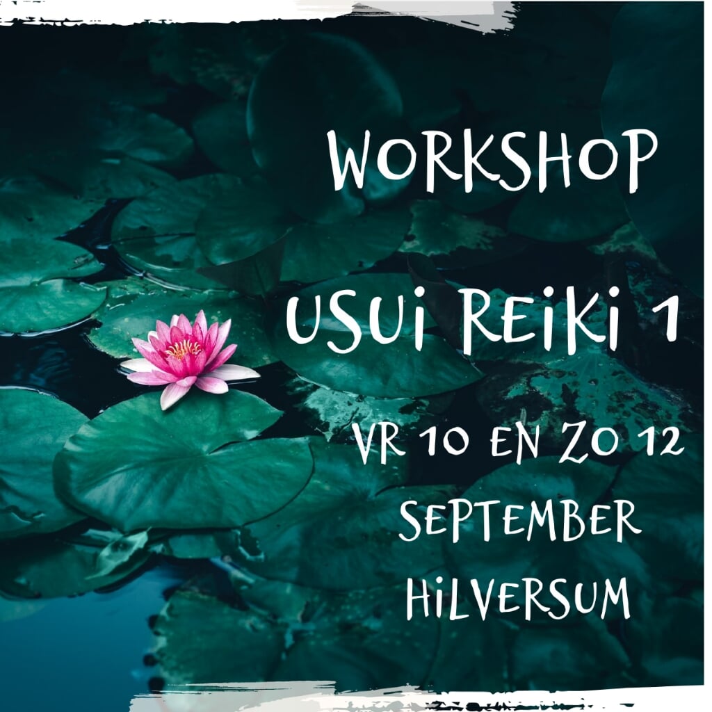 Workshop Usui Reiki.