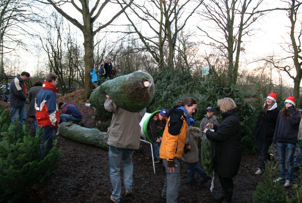 Ook dit jaar verkoopt Scouting Erica weer kerstbomen bij haar clubhuis aan het einde van de Verlengde Fortlaan in Naarden. 