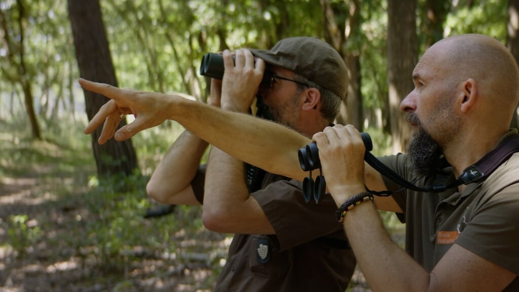 Onze boswachters hebben een mbo-opleiding voor bos- en natuurbeheer gevolgd.