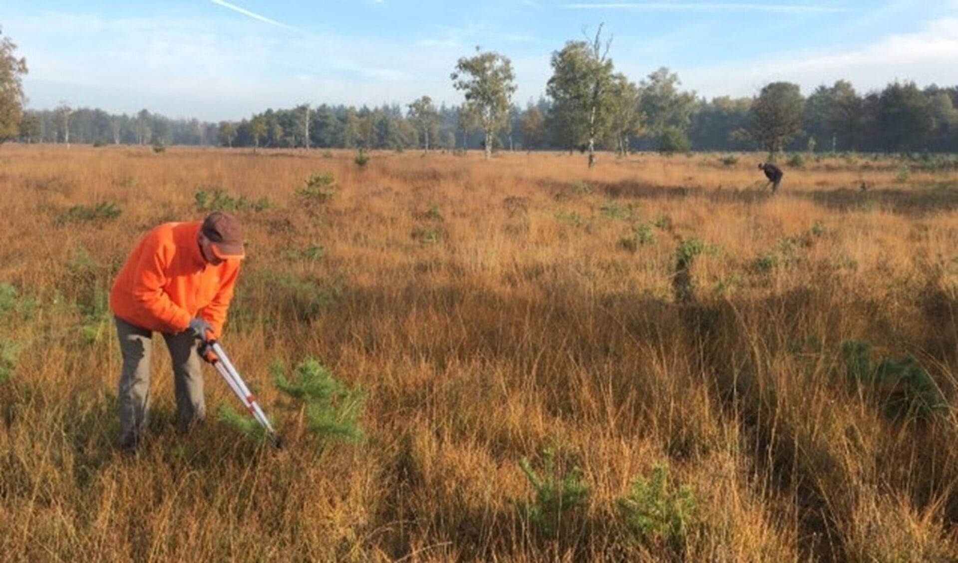 Vrijwilligers werken op de heide, in het bos of op akkerranden. 