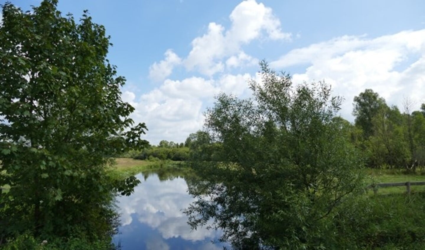 De Tongelreep met voldoende water. (Foto: Waterschap de Dommel).