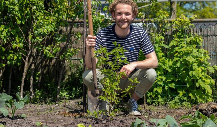 Via Plan Boom kan iedereen een Boompjespakket bestellen met drie kleine boompjes voor in de tuin. (Foto: Mees van den Berg)