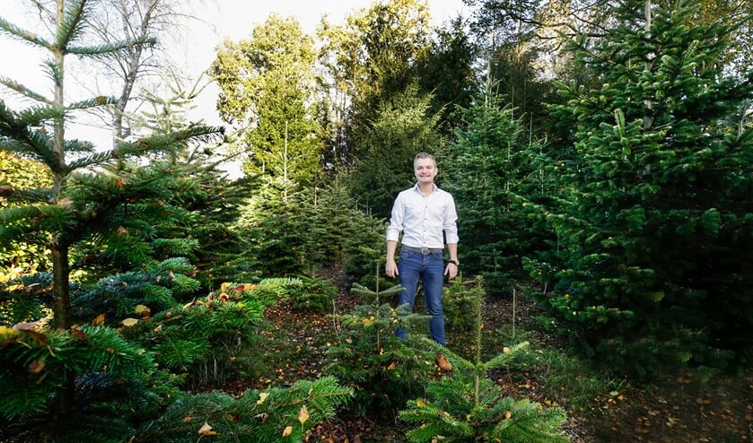 <p>Davey Gerlings tussen de kerstbomen waar hij elk jaar rond de Kerst is te vinden. (Foto: Jurgen van Hoof)</p>