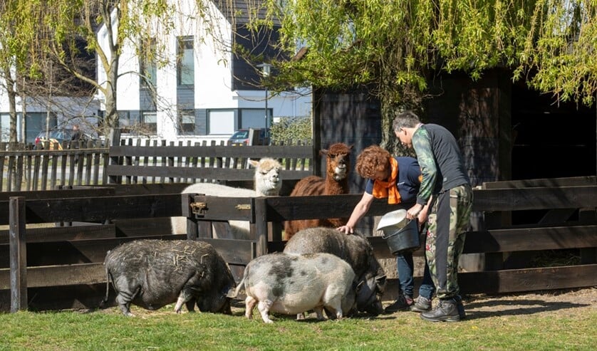 <p>Kloostervelden heeft onder meer een wijkboerderij waar iedereen welkom is. (Foto: Freekje Groenemans Fotografie)</p>