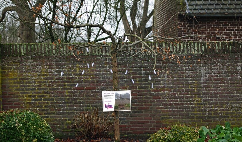 De wensboom op het kerkplein in Lierop. (Foto: Jan van Lieshout)