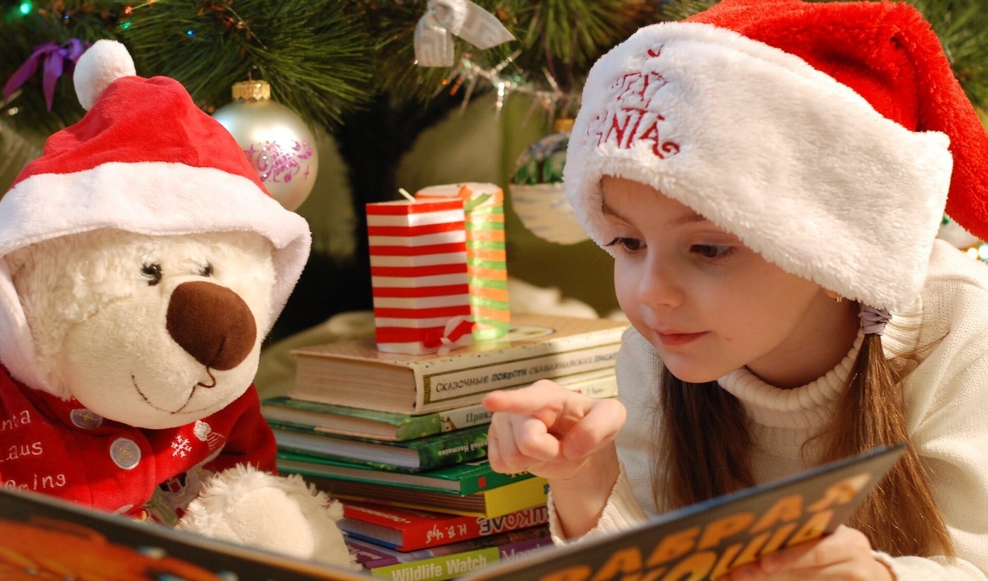 Bij de bibliotheek in Someren en Asten kan je in december in de kerstsferen komen. (Foto: Bibliotheek Helmond-Peel)