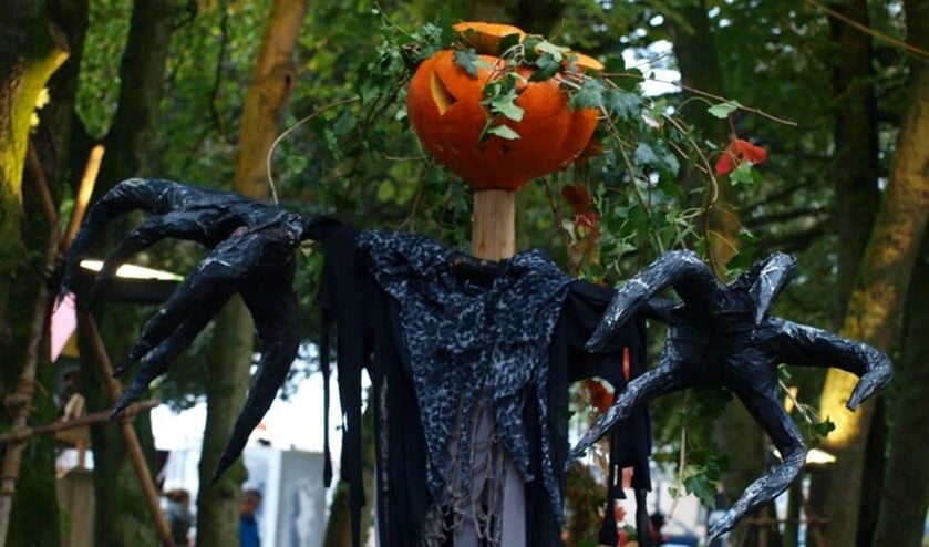 <p> Het Vogelverschrikkerfestival kan na anderhalf jaar eindelijk weer doorgaan.</p>