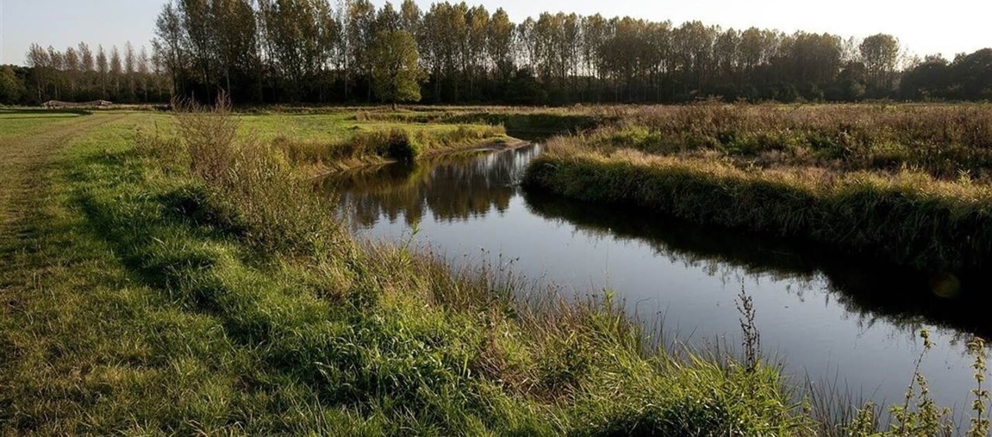 Stockfoto.