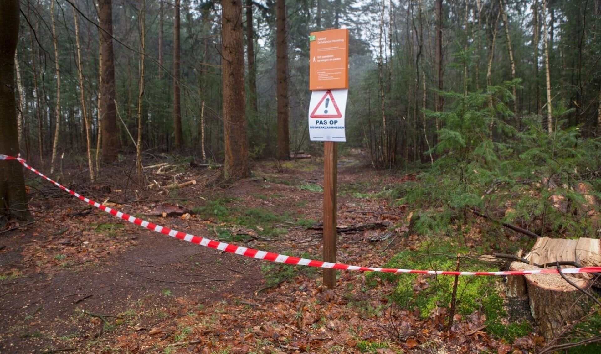 Wandelpaden kunnen tijdens de werkzaamheden voor ieders veiligheid, tijdelijk afgesloten zijn.