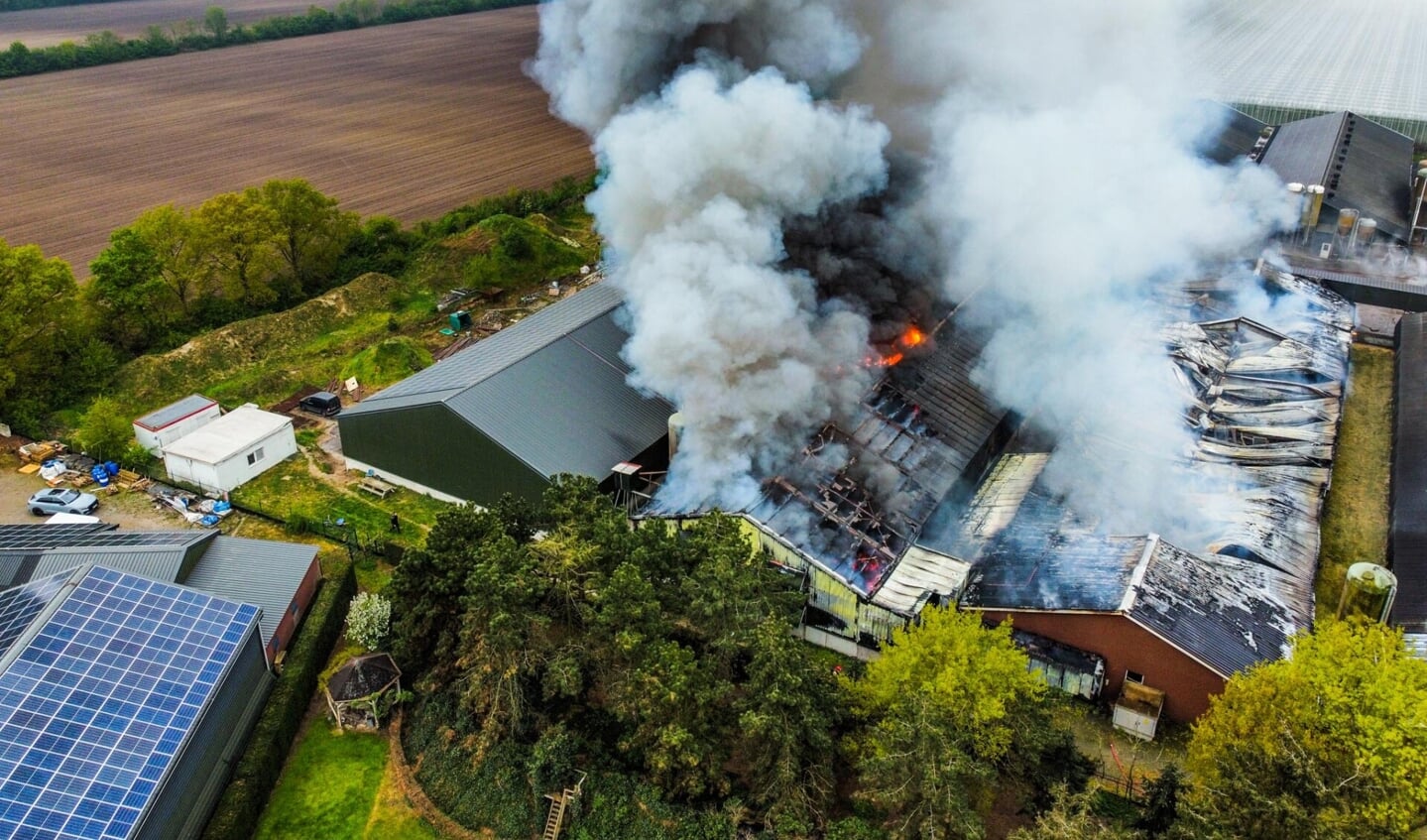 De brand is vermoedelijk ontstaan in de zonnepanelen op de daken van de kippenstallen. (Foto: Dave Hendriks/112Nieuwsonline)