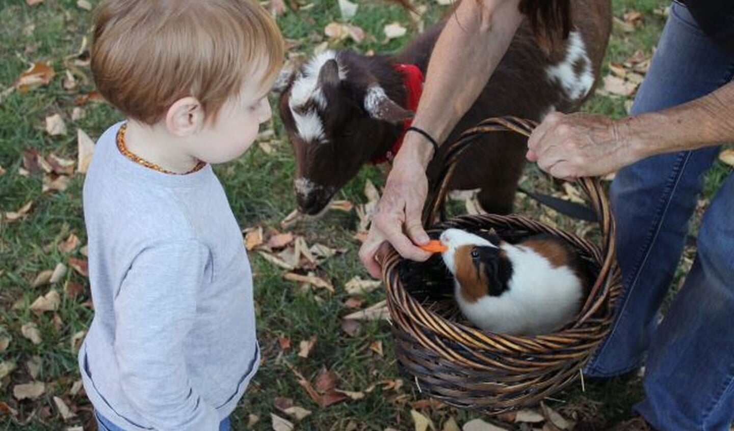Vrijdag 24 juni is Boekjes en Babbels niet in de bibliotheek maar op kinderboerderij De Kleine Meer.
