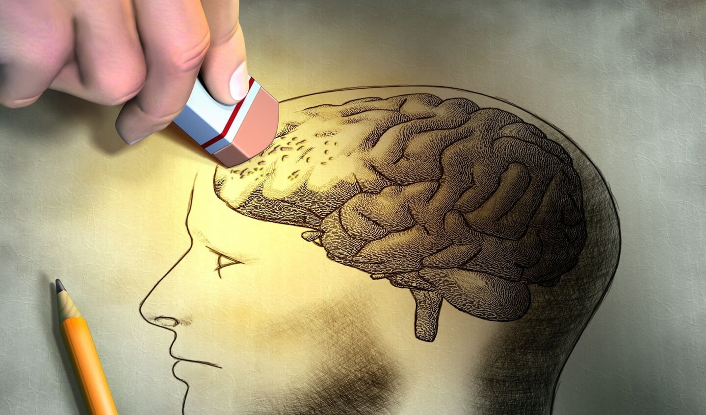 Alzheimer Nederland zet zich in voor een van de grootste uitdagingen van deze tijd: dementie.