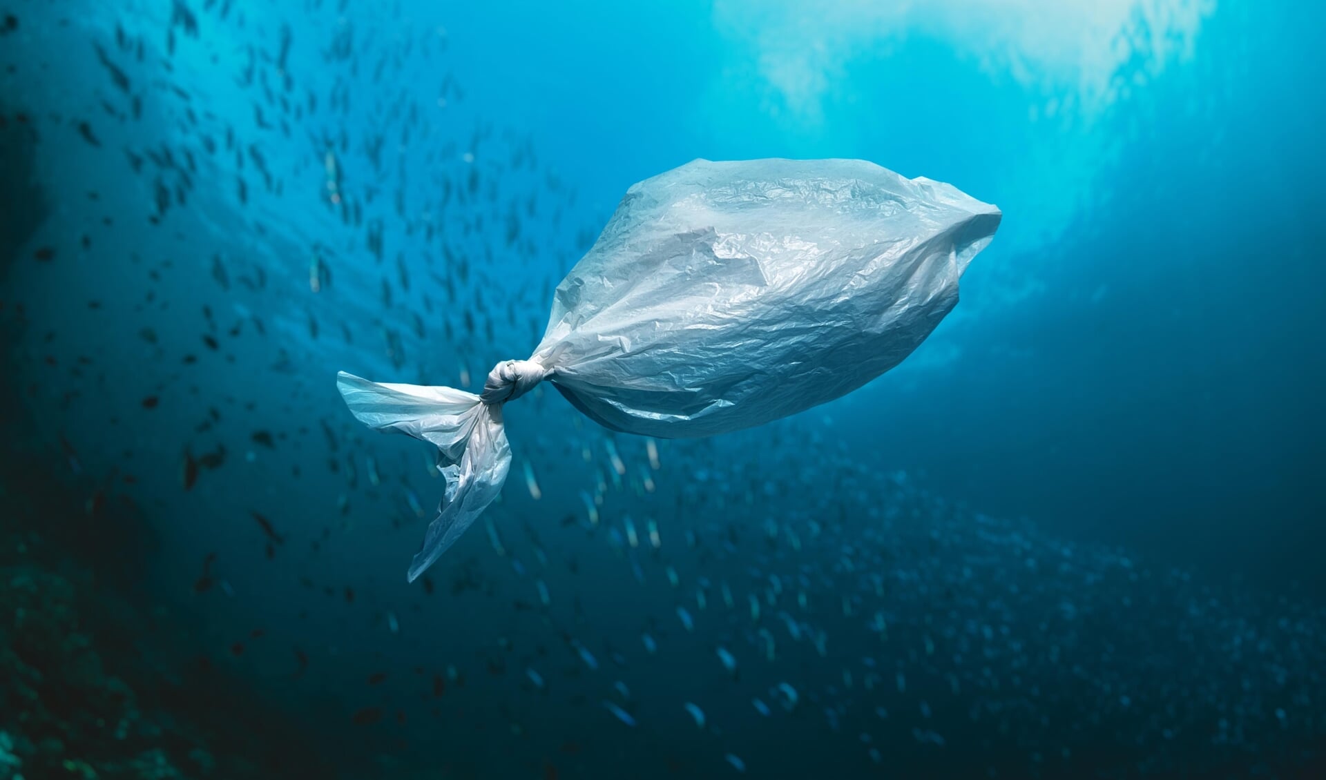 Per seconde komt ongeveer 250 kilo plastic in de oceanen terecht. Dat is een volle vrachtwagen per minuut.