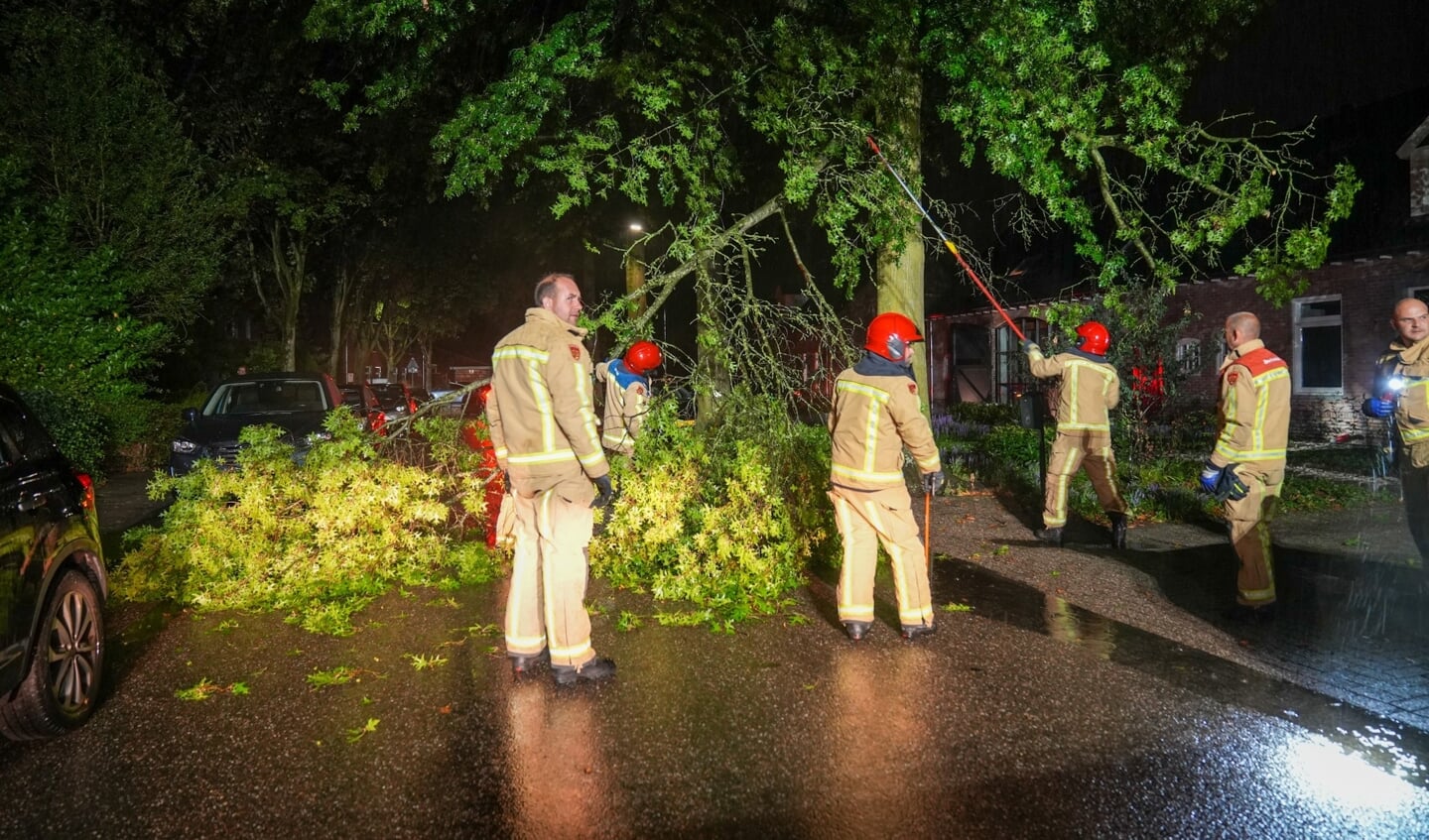 De brandweer werd opgeroepen om de tak te verwijderen. (Foto: Harrie Grijseels/112Nieuwsonline.nl)