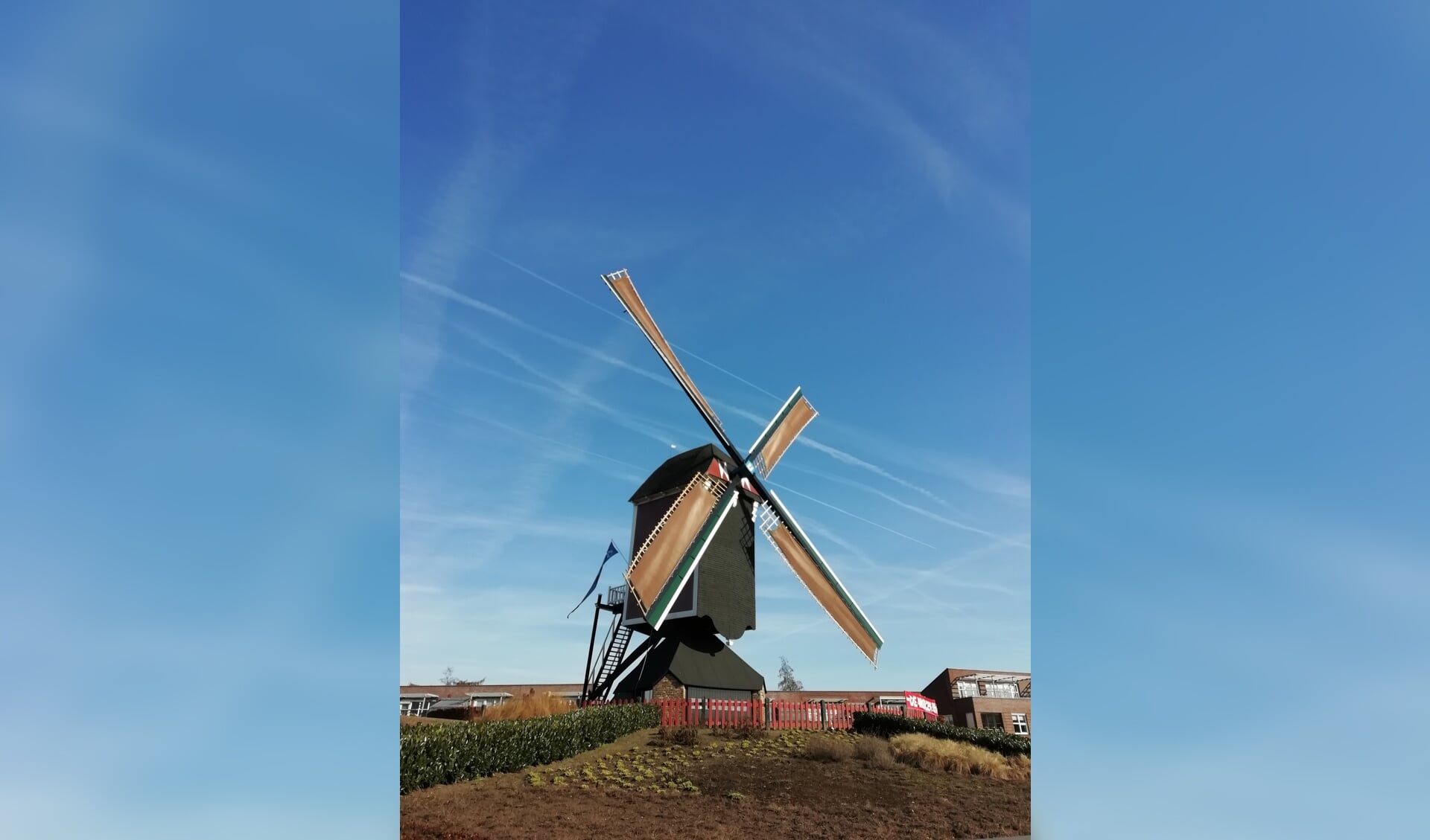 De Mierlose molen aan het Molenplein is zondag geopend.