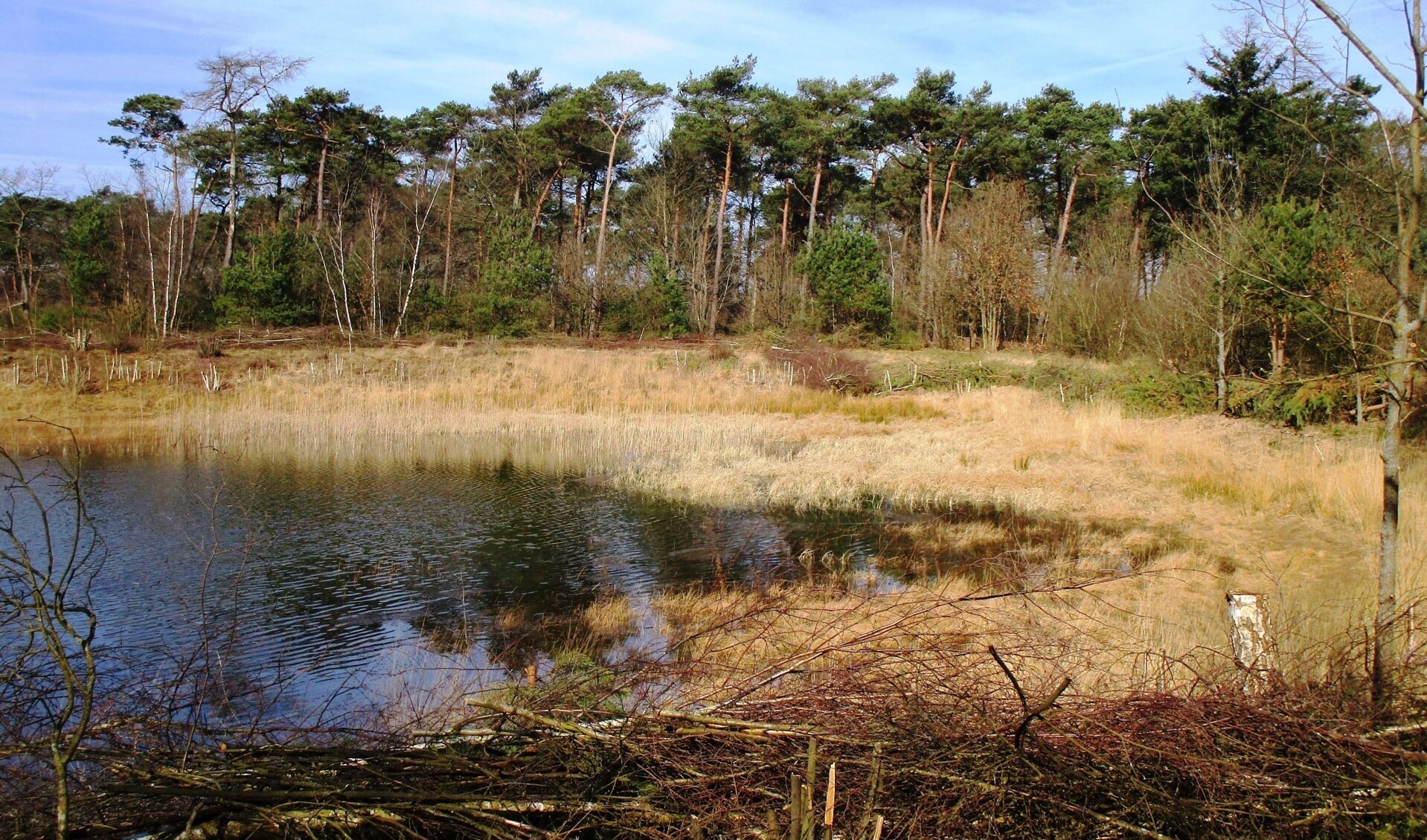 De routes van de wandeling op 25 januari lopen aan weerszijden van de grens, door een mooi afwisselend natuurgebied.