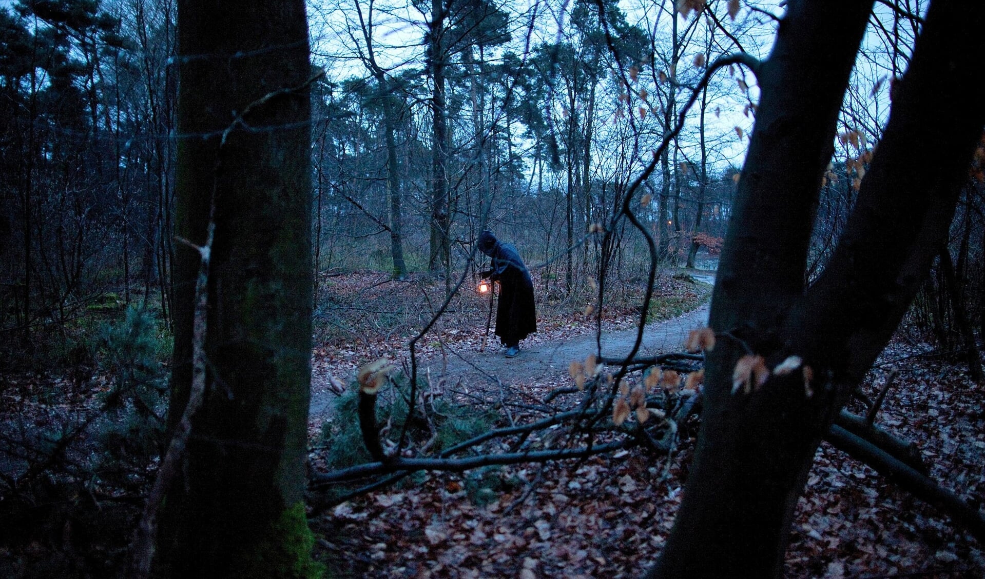 De Nachtwachter is na zonsondergang te vinden in de bossen.