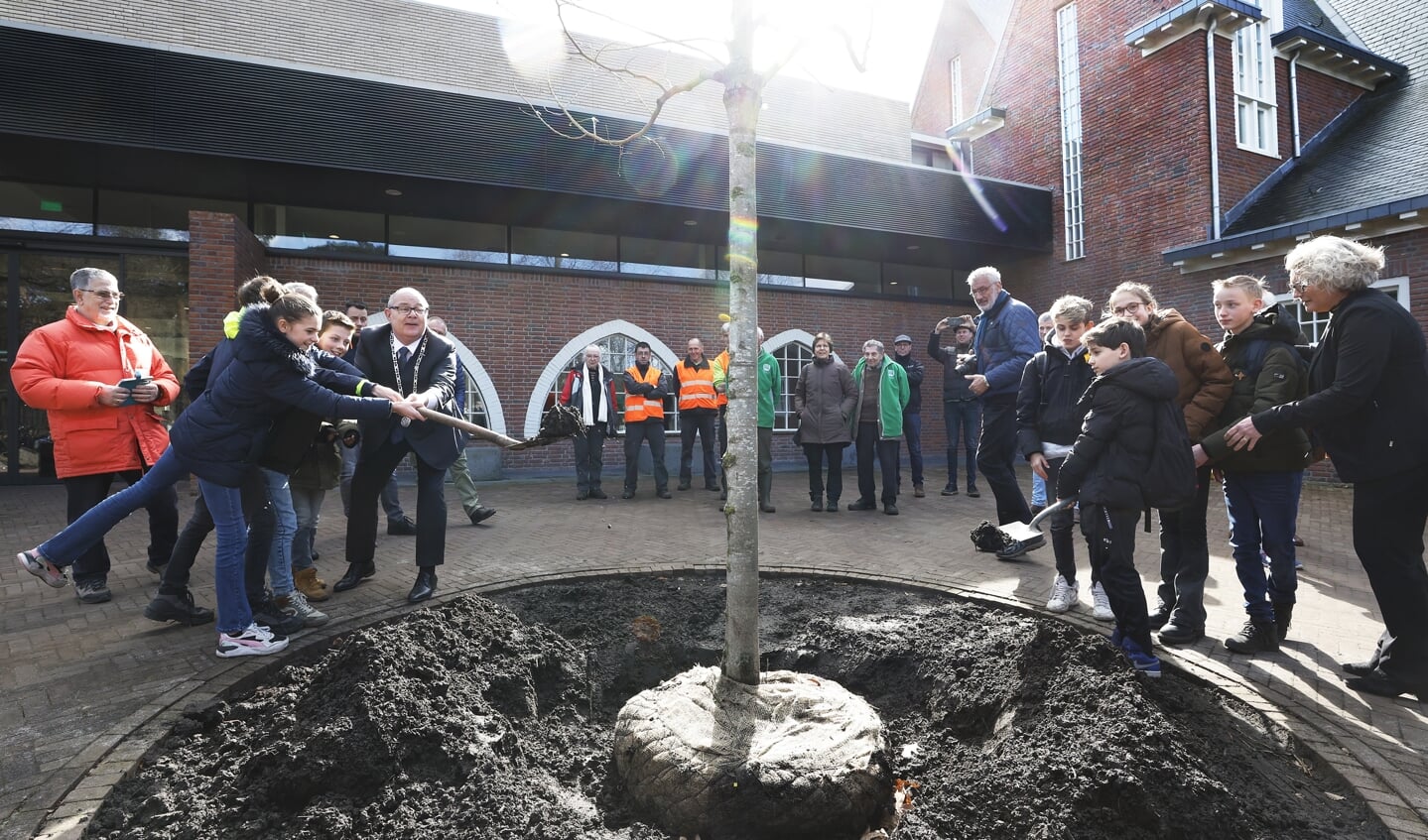 Burgemeester Marcel Oosterveer en de leerlingen planten de lindeboom bij Het Huis van Waalre 