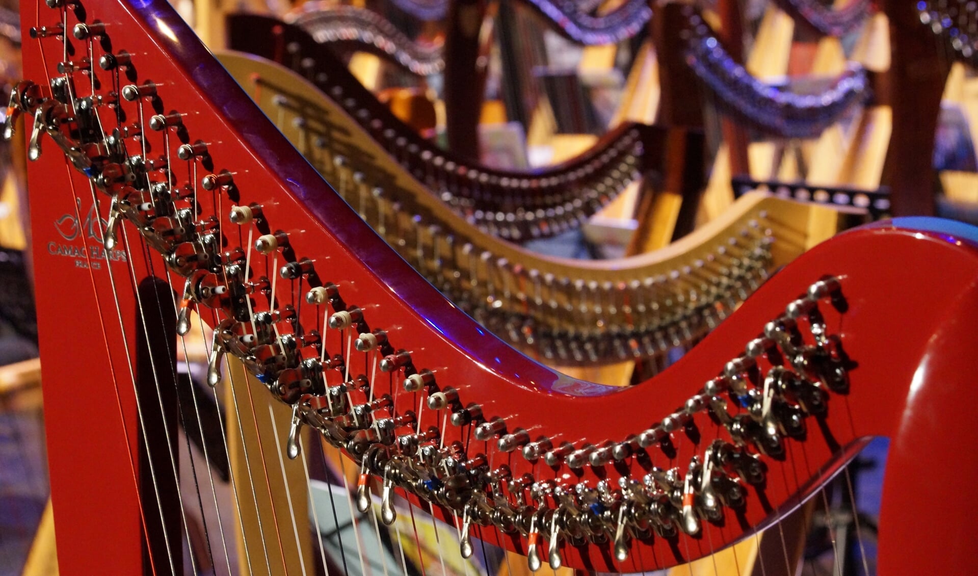 Harpdocenten uit Brabant en Limburg organiseren elk jaar het Harpweekend, ditmaal in De Hofnar.