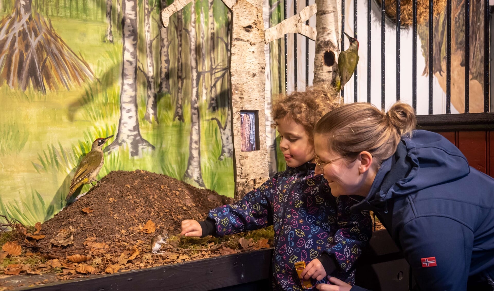 IVN Geldrop heeft dit jaar een grote expositie over het bos. (Foto: Margot Klaren)
