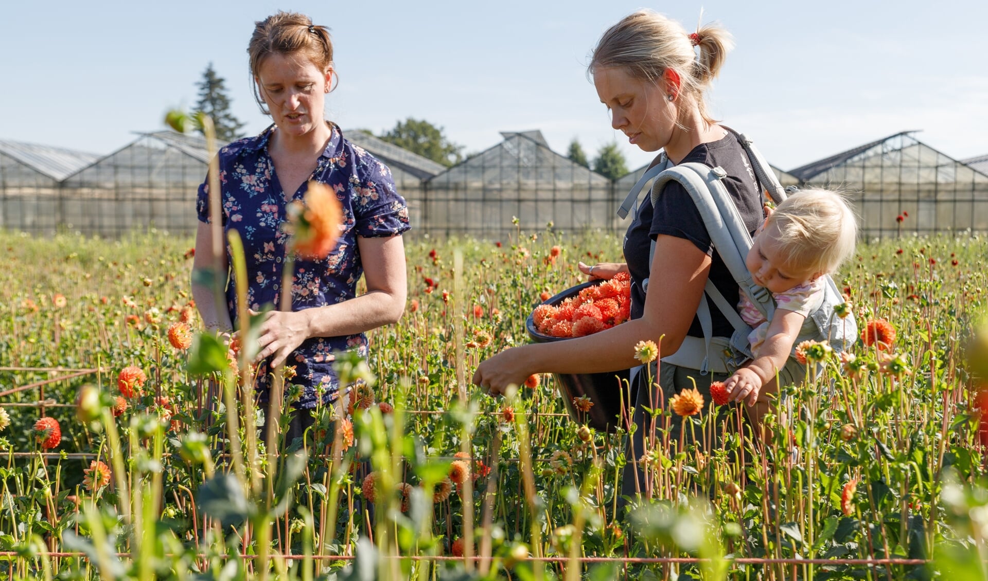 Achter de schermen van het bloemencorso