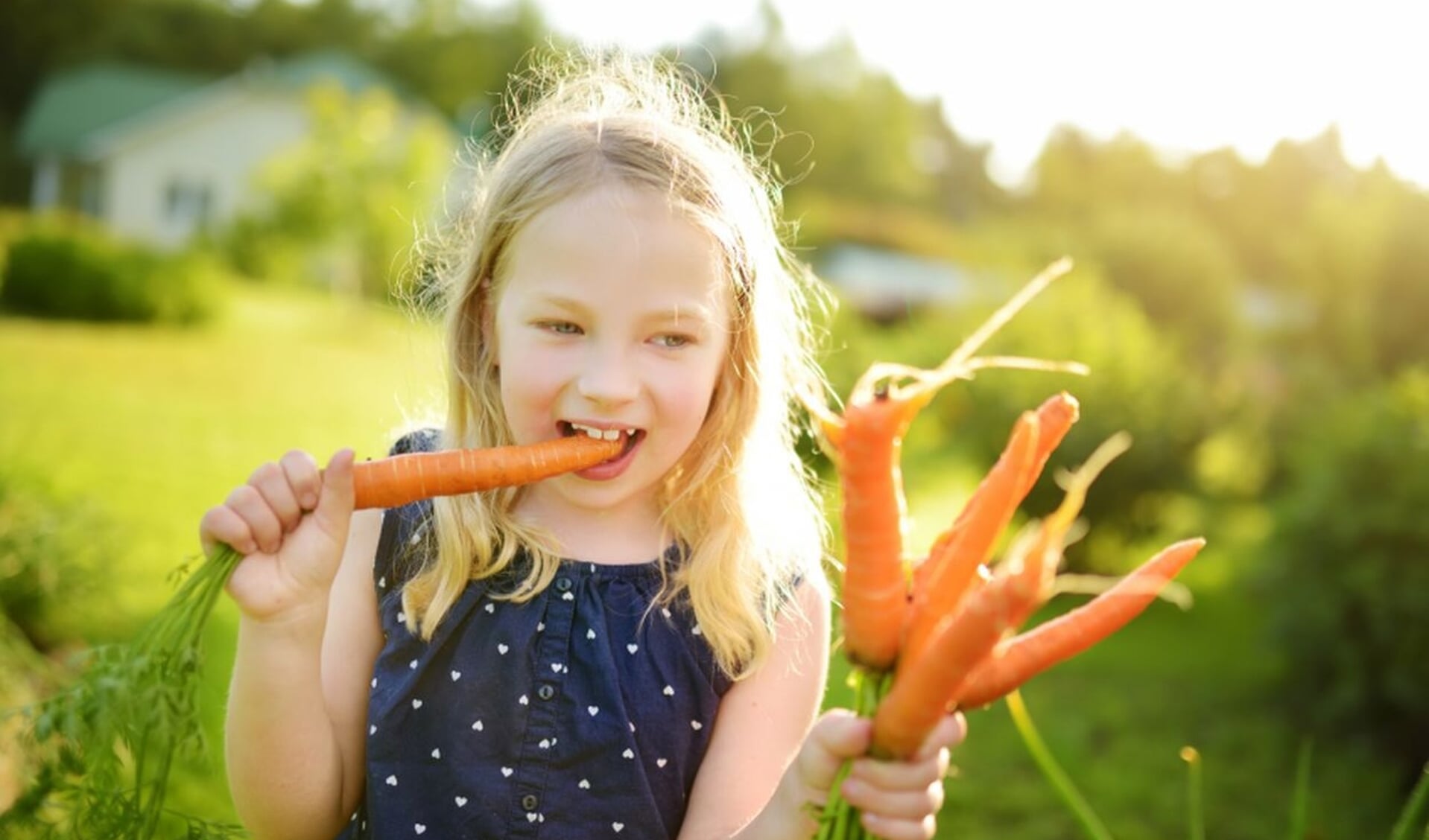 De organisatie achter de Week van de Schooltuin wil kinderen bewuster maken van hoe groenten groeien. 