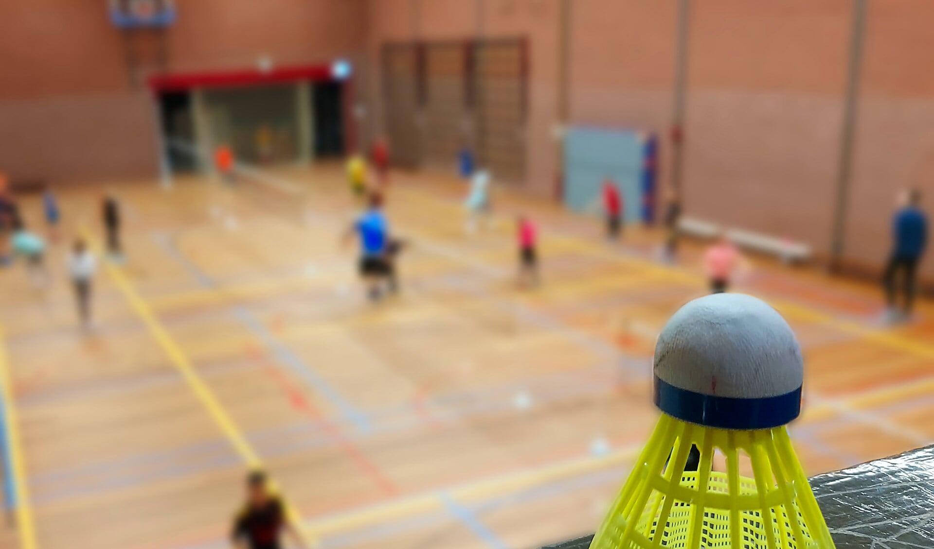 Badmintonvereniging Someren heeft afgelopen week hun seizoen afgetrapt. 