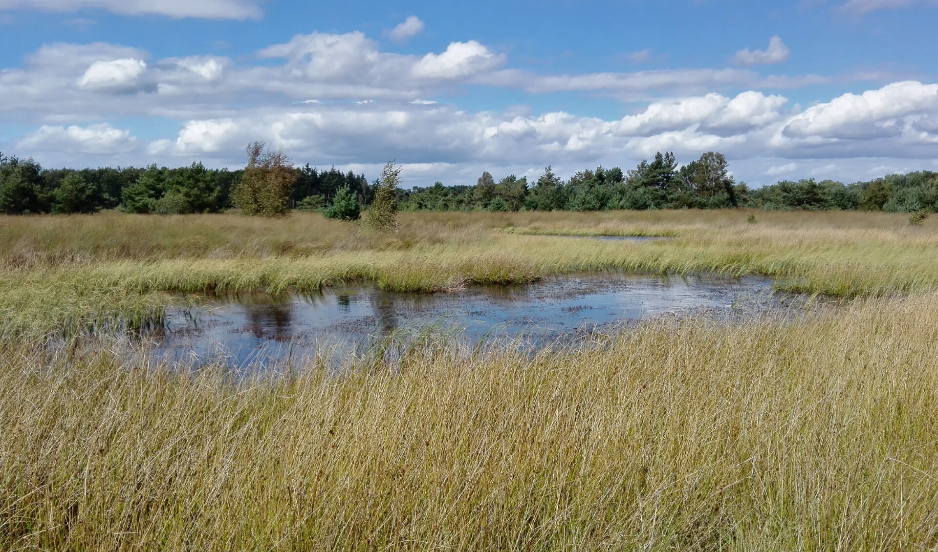 In Natuurgebied Malpie starten werkzaamheden om het gebied te beschermen (Foto: Pieter Cox).