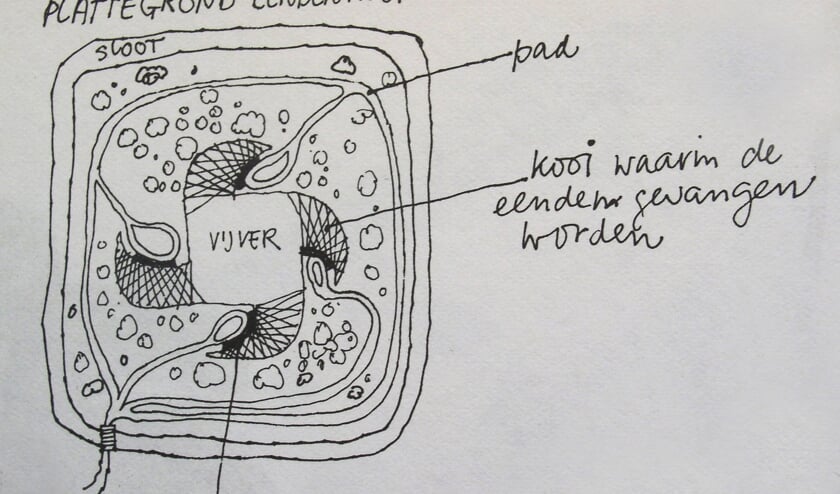 Plattegrond van een eendenkooi. (uit Vrij Leven, het Spectrum 1979)