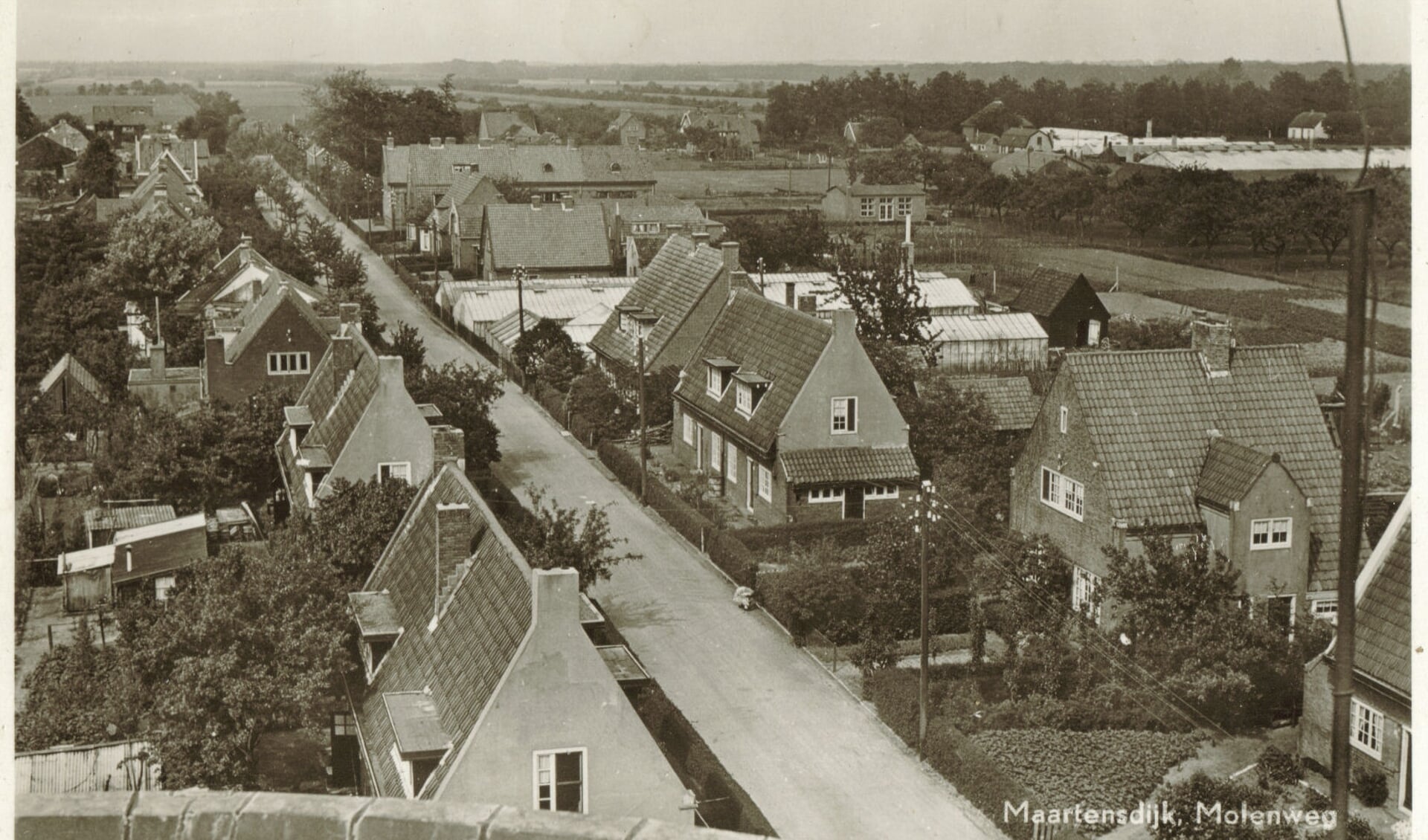 Molenweg (vanaf de toenmalige molen gezien) rechtsonder 51-59 en linksonder 50-56 zichtbaar. (foto uit de digitale verzameling van Rienk Miedema)