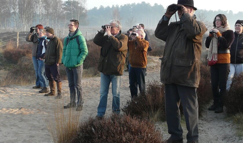 Vogels kijken onder IVN Begeleiding.