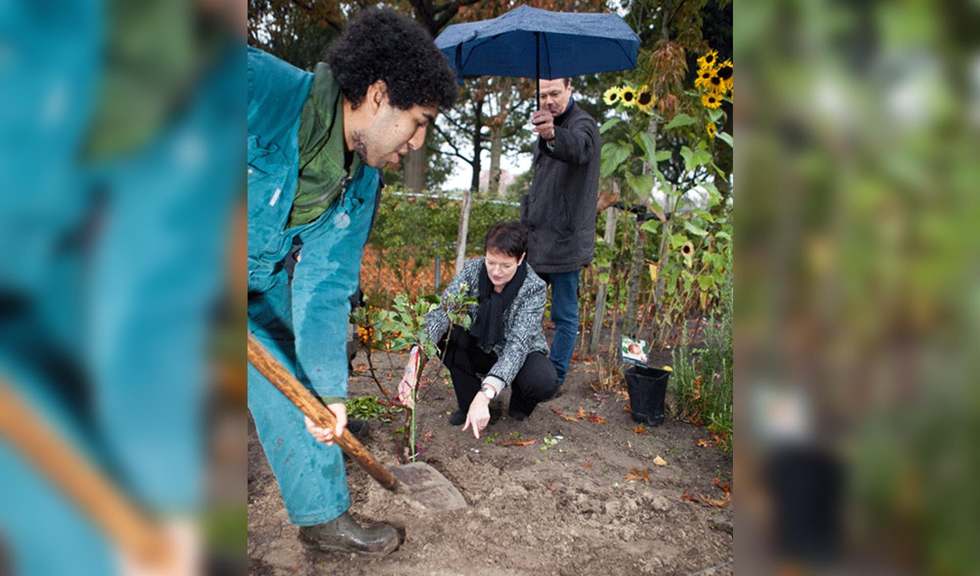 Ella van Lingen plant, samen met Tom de Vries en Gertjan Kaaij, een appelboompje als symbool voor de ingeslagen weg richting duurzaamheid.