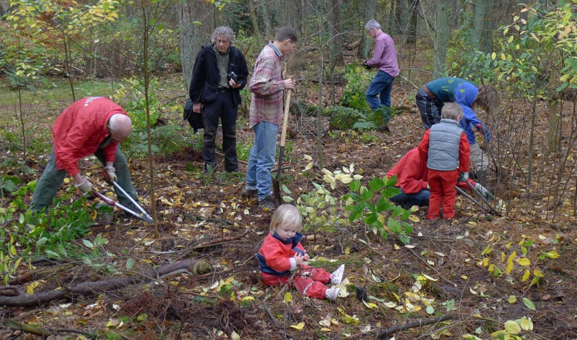 Zaterdag 7 november staken ook de bestuursleden van 'De Vrienden' de handen uit de mouwen.